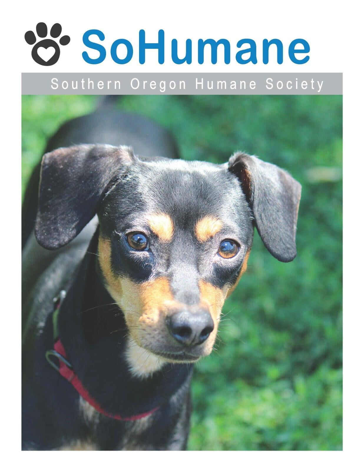 Southern oregon humane society chuck dunbar alcon
